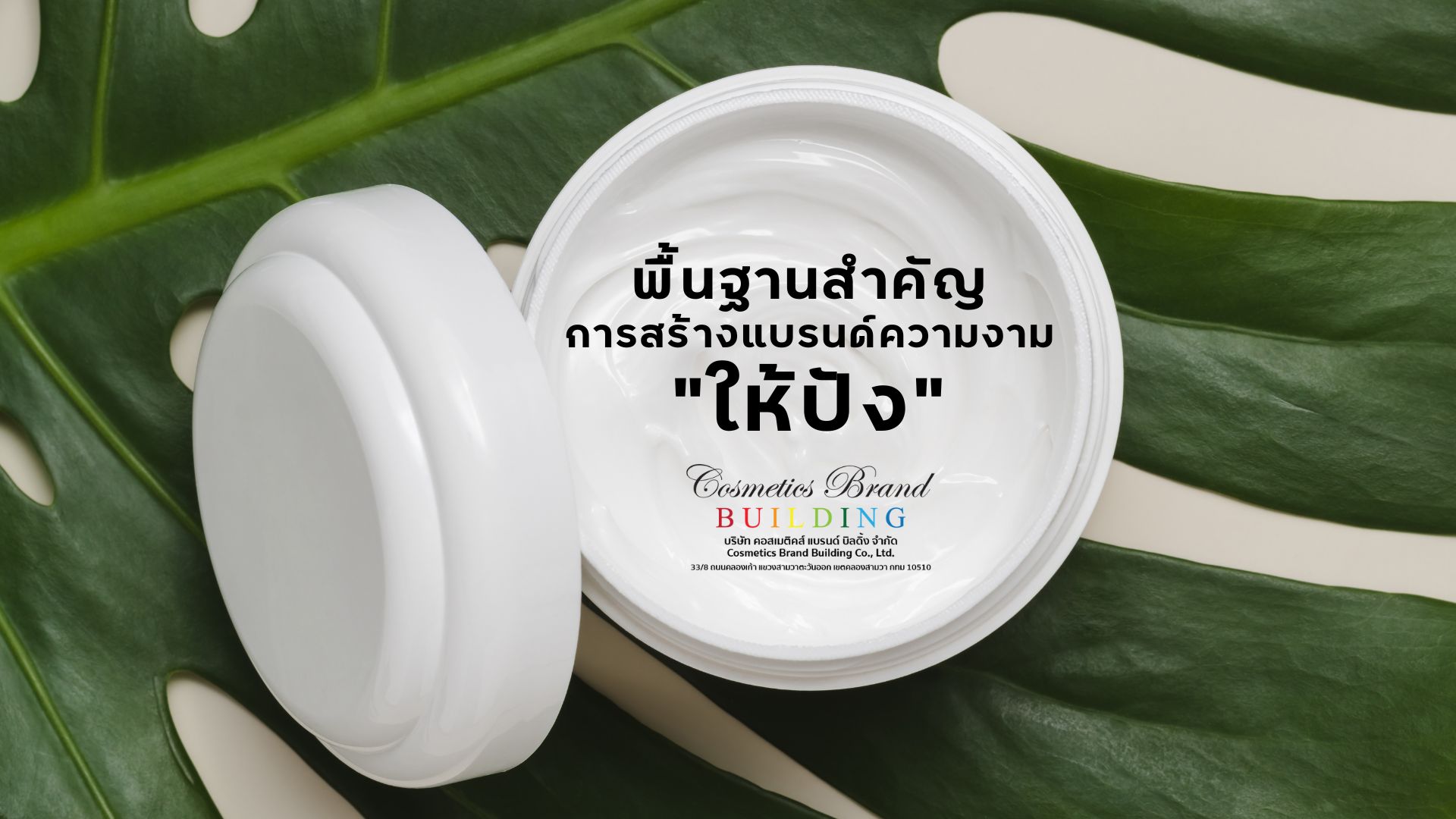 Images/Blog/VjGeQjdx-ครีมกิโล (2).jpg