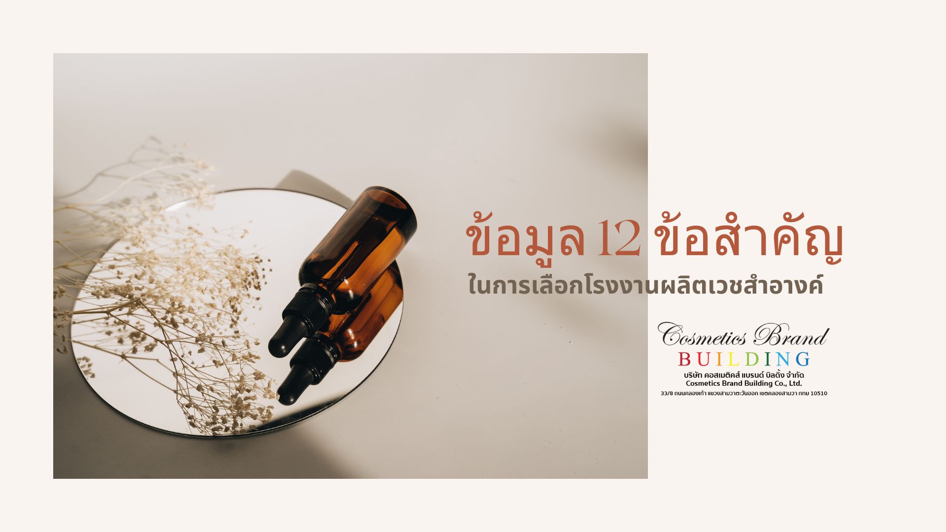 Images/Blog/XtsPGoZD-การฟอกเงิน.jpg