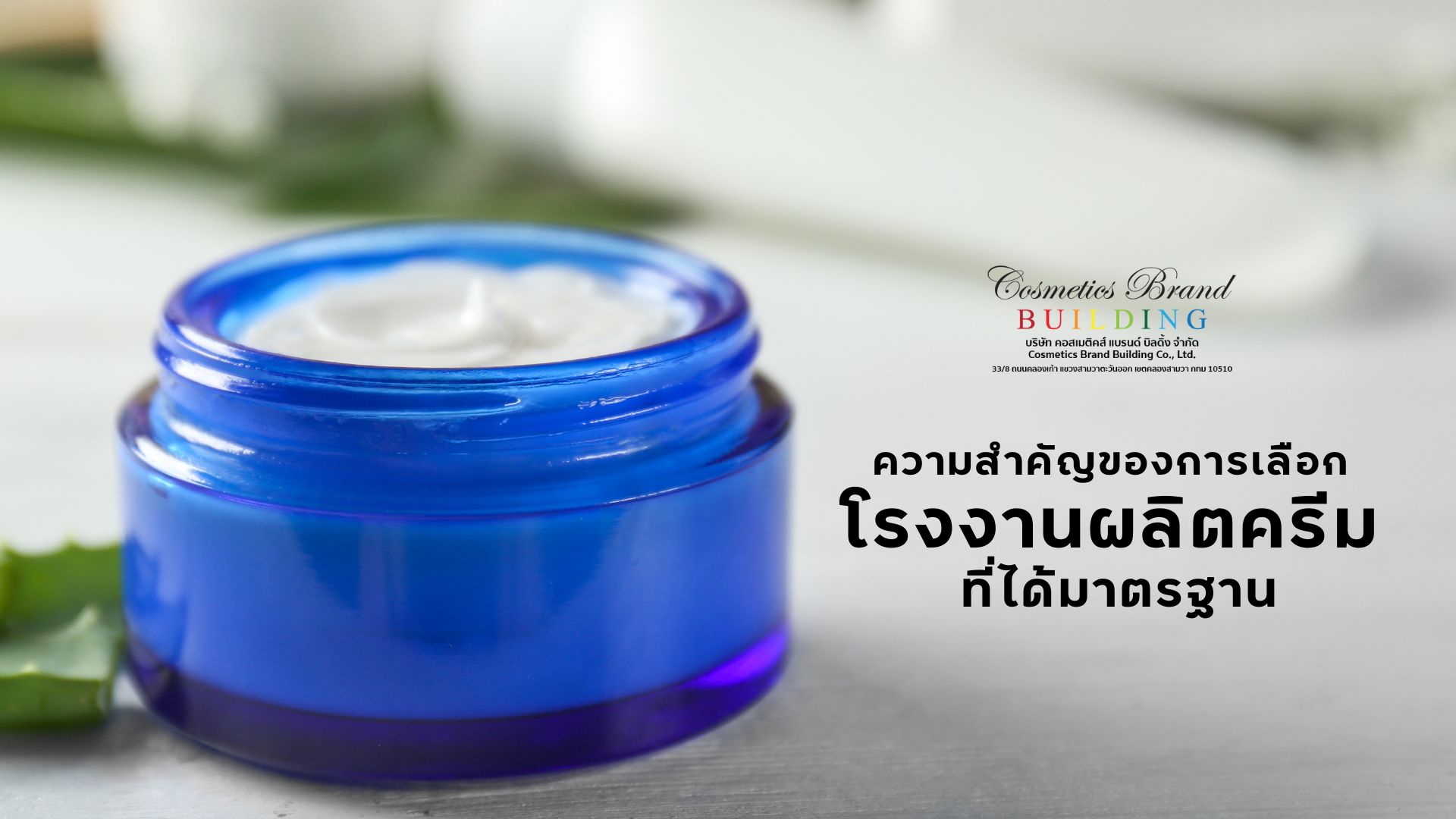 Images/Blog/gc9AUq5p-ครีมกิโล (11).jpg